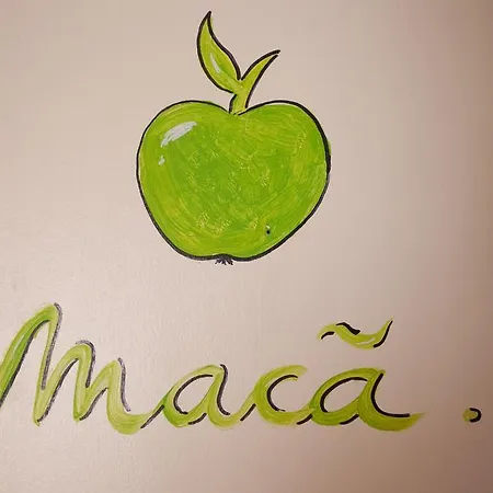 Surf Camp Хостел